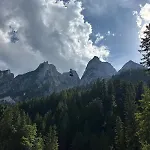 דירה Forest גוסאו