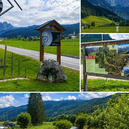 Forest Gosau