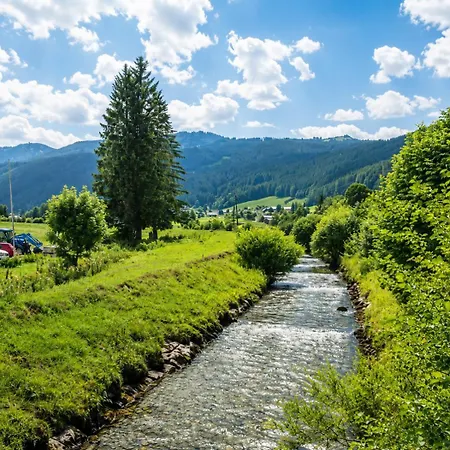 Forest Apartment Gosau