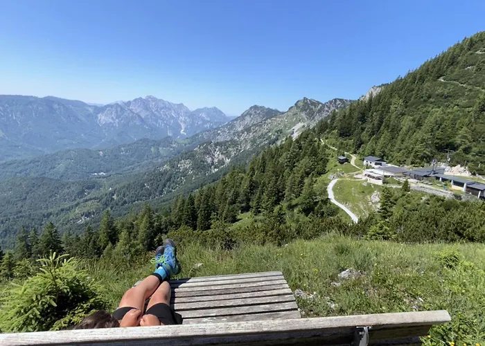 Forest Διαμέρισμα *