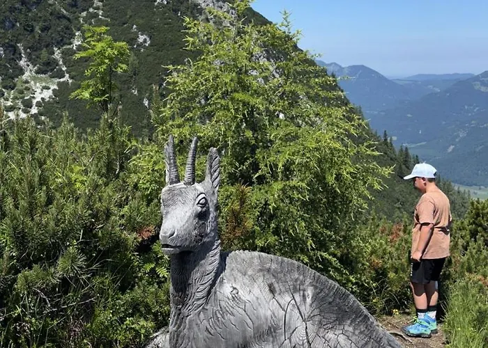 Διαμέρισμα Forest Gosau