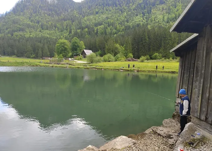 Forest Διαμέρισμα