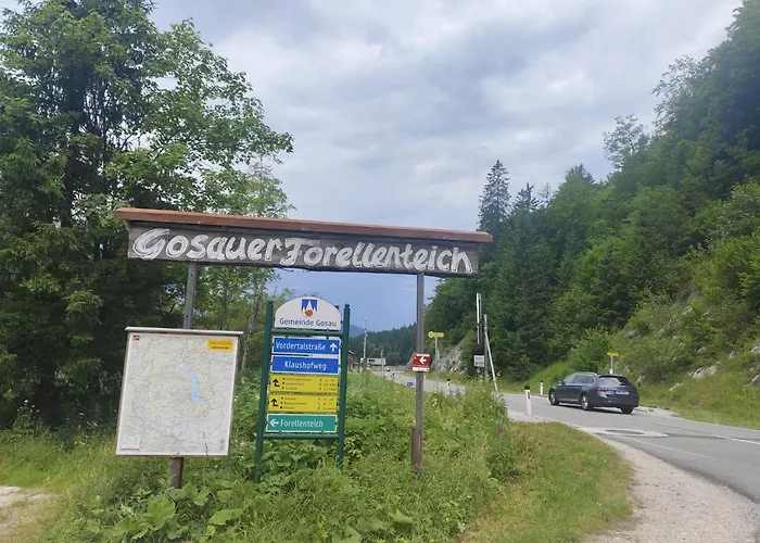 Διαμέρισμα Forest Gosau