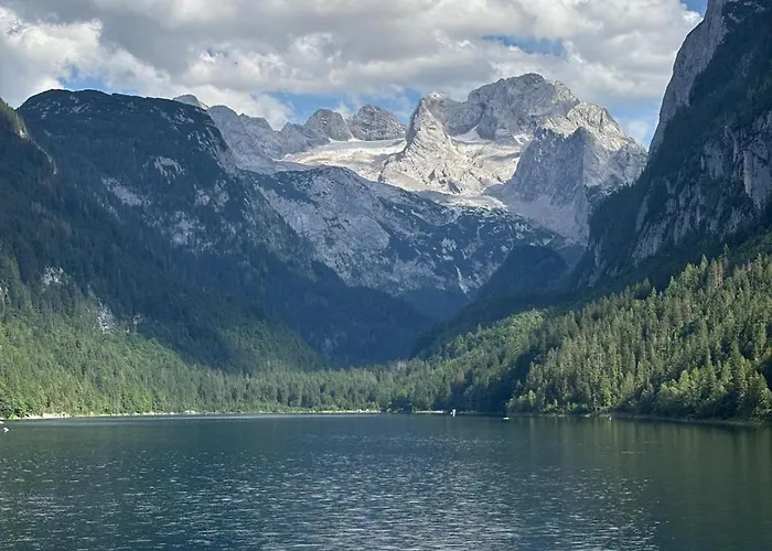 Διαμέρισμα Forest Gosau