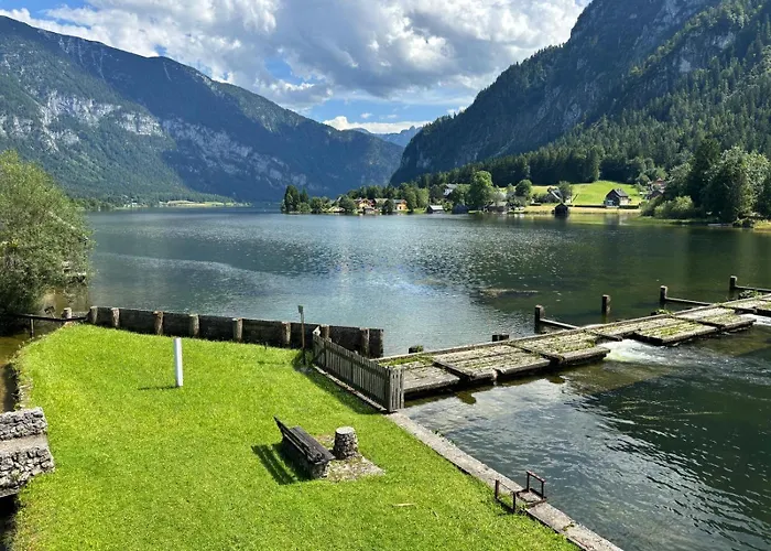 Forest Διαμέρισμα *