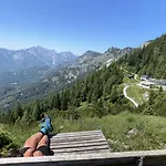 Forest Apartament *