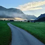 Forest Gosau